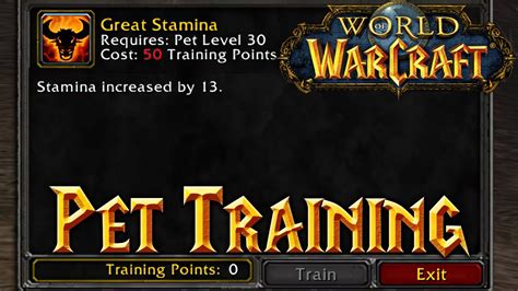 wow classic pet training points